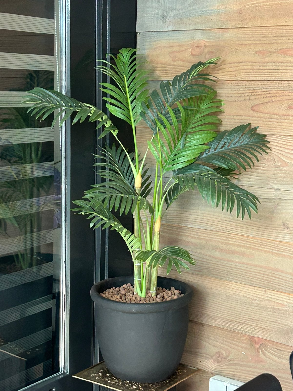 Kunst palm in zwarte pot zie foto, Bloeit niet, 100 tot 250 cm, Palmboom, Ophalen