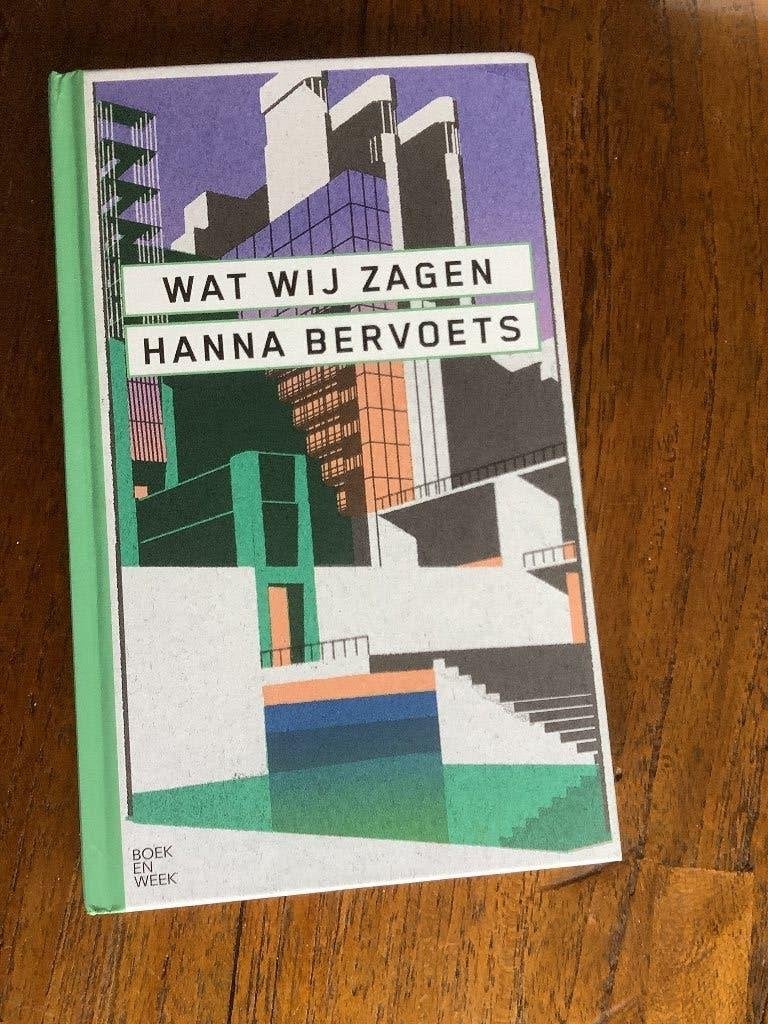 Wat wij zagen (Hanna Bervoets) boekenweekgeschenk 2021, Boeken, Ophalen of Verzenden, Zo goed als nieuw, Hanna Bervoets