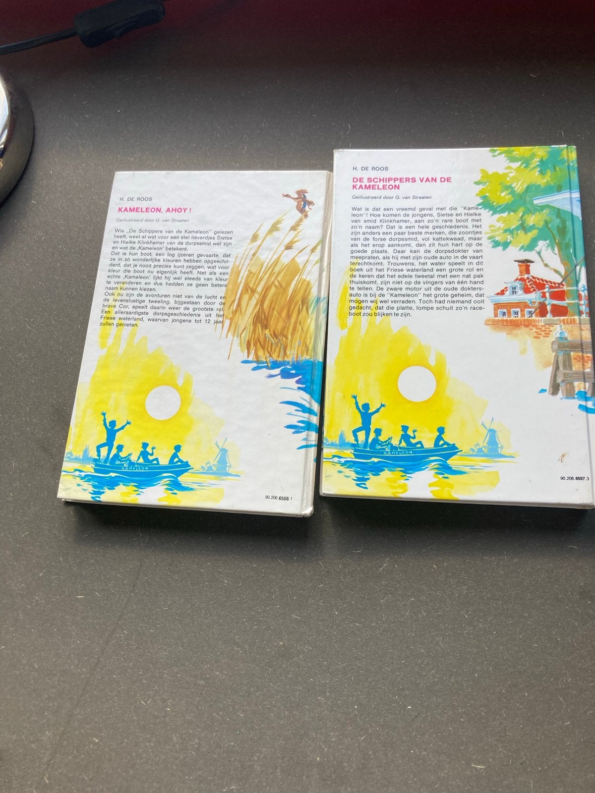 De Schippers van de Kameleon Boeken - H. de Roos, Boeken, Ophalen of Verzenden, Gelezen, Fictie algemeen
