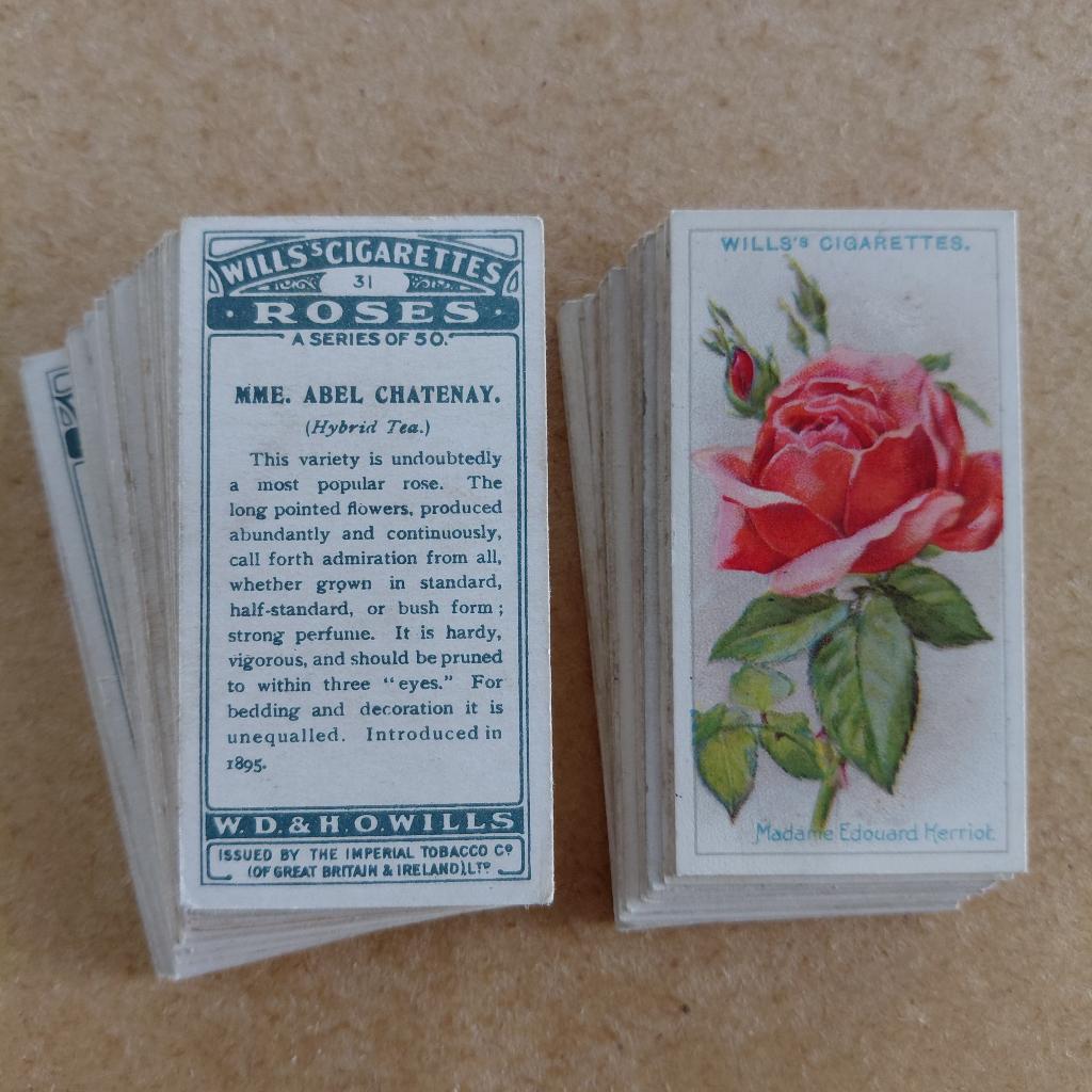 Roses 1926 complete set 50 rozen cigarette cards B-keus, Ophalen