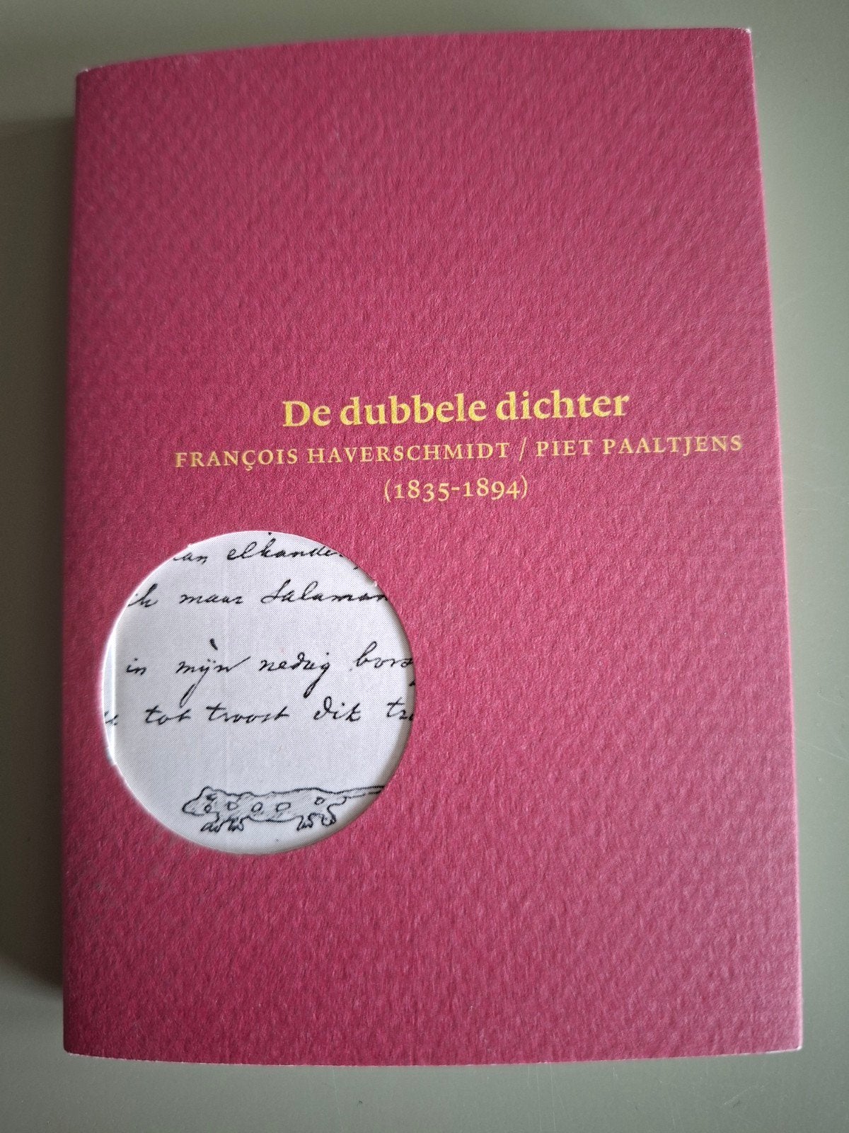 De Dubbele Dichter - François Haverschmidt / Piet Paaltjens, Boeken, Ophalen of Verzenden, Zo goed als nieuw, François Haverschmidt / Piet Paaltjens