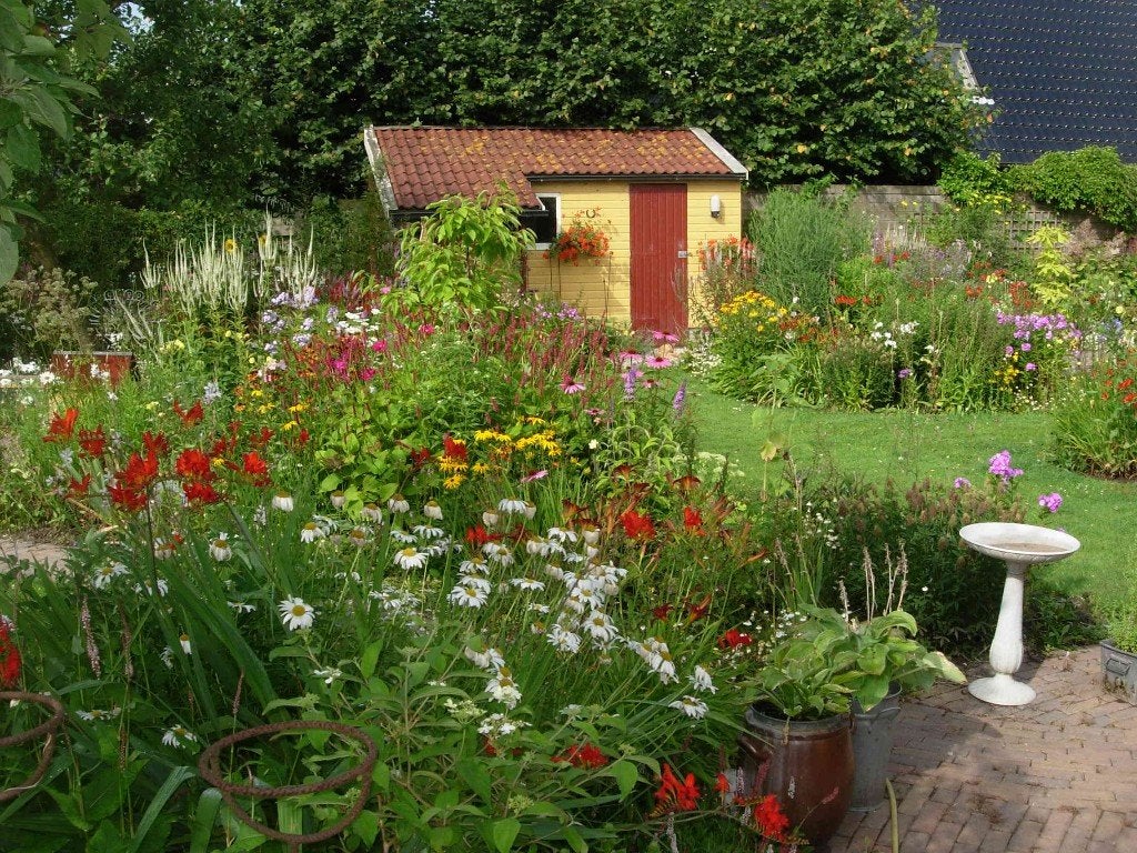 planten, tuinplanten, Ophalen, Overige soorten, Halfschaduw