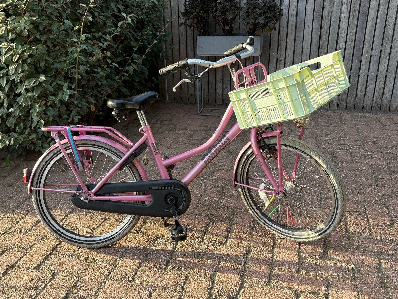 Alpina kinderfiets 22 inch roze met krat, Ophalen, Terugtraprem, 22 inch, Gebruikt