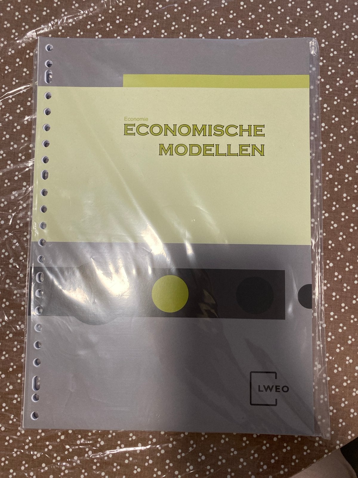 Economische Modellen - LWEO - 2e druk, Ophalen of Verzenden, Nieuw, VWO, Economie