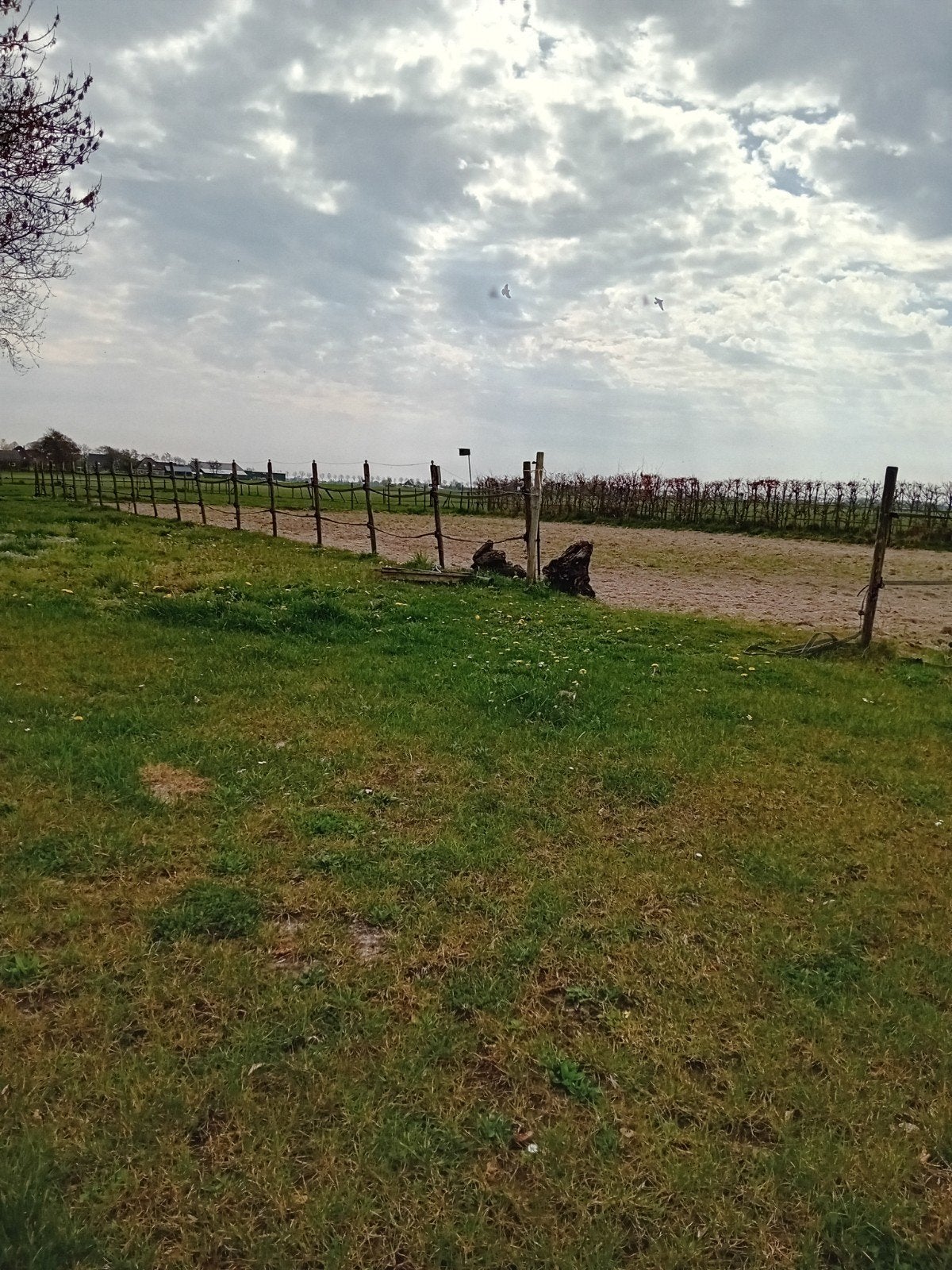Stalling aangeboden, Dieren en Toebehoren, Stalling en Weidegang