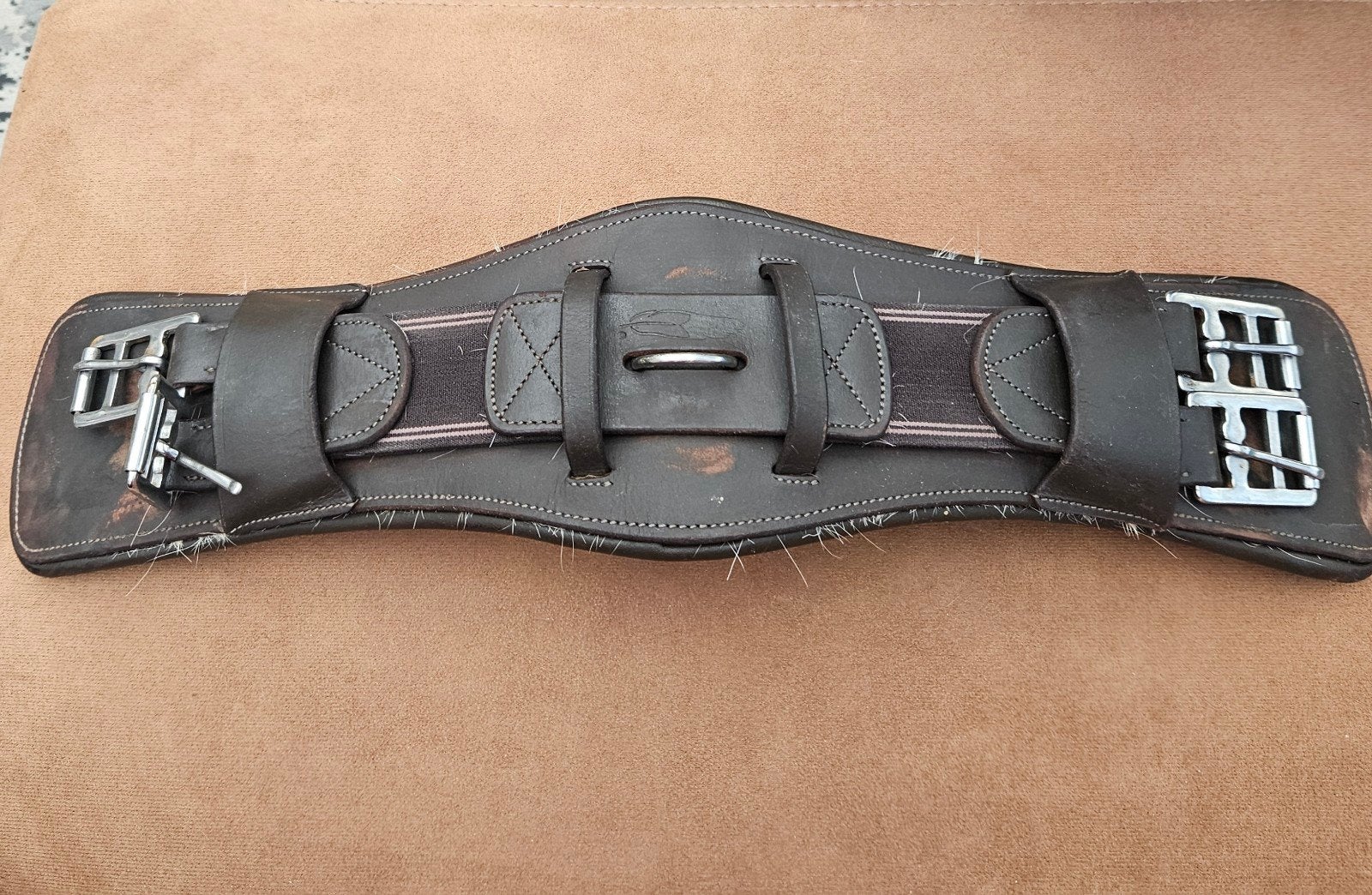 Dressuursingel maat 45 cm, Dieren en Toebehoren, Paarden en Pony's | Hoofdstellen en Tuigage, Ophalen, Gebruikt