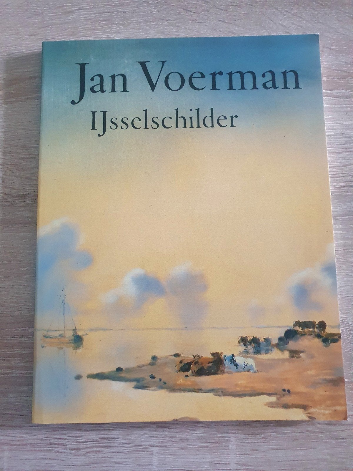 Jan Voerman IJsselschilder - Boek over kunstenaar, Jan Voerman, Ophalen of Verzenden, Zo goed als nieuw, Nederland