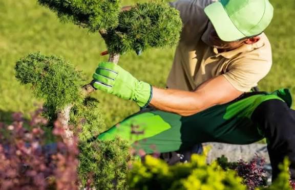 tuinman gezocht? lees ad!, Ophalen, Tuinaarde