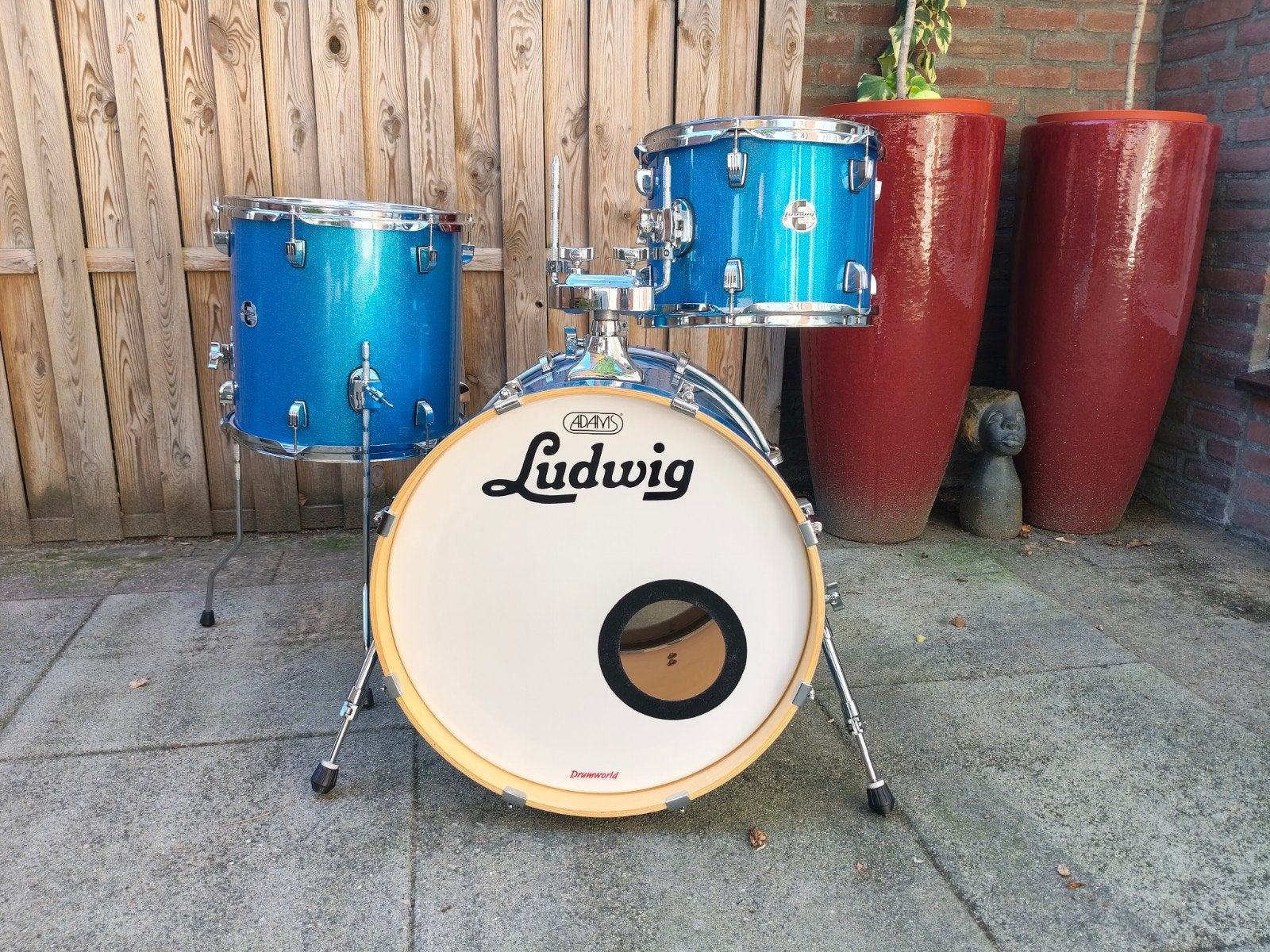 Ludwig Element Evolution, Muziek en Instrumenten, Ophalen, Gebruikt, Ludwig