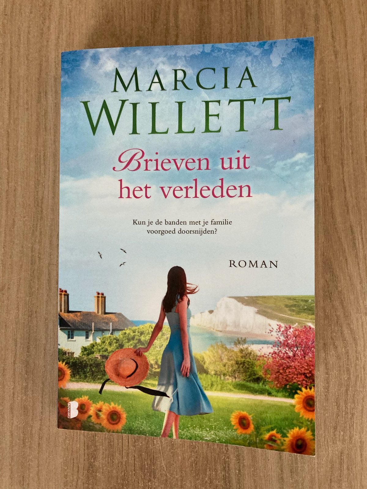 Brieven uit het verleden van Marcia Willett, Ophalen of Verzenden, Zo goed als nieuw