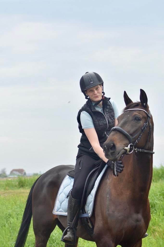 Prachtige Draver ruin (9) & merrie (10), Merrie, B, 3 tot 6 jaar, 160 tot 165 cm