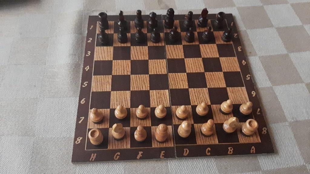 bordspel schaakbord magnetisch 15 bij 15 cm + leren buidel, Hobby en Vrije tijd, Gezelschapsspellen | Bordspellen, Een of twee spelers
