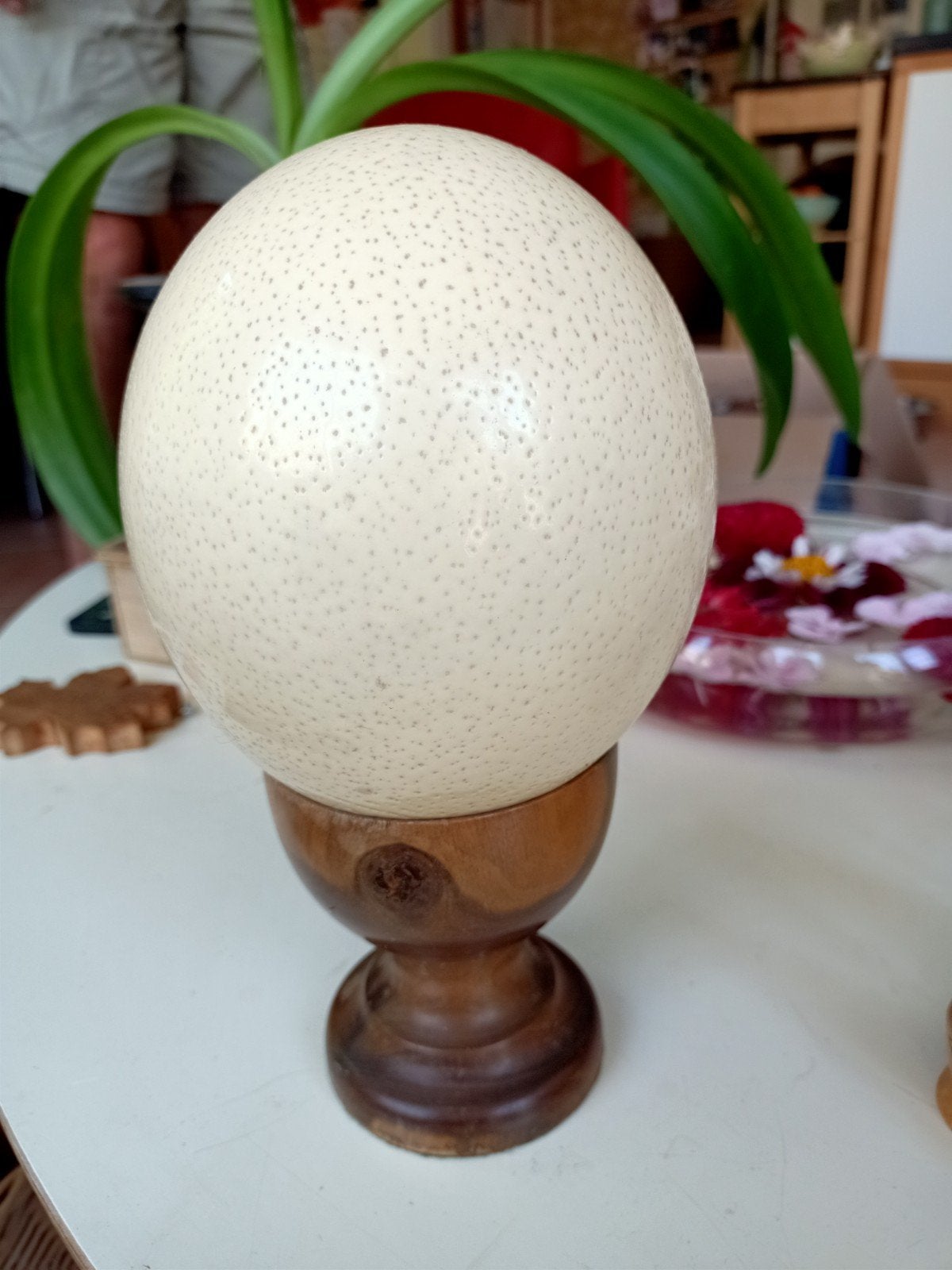 Struisvogelei met houten eierdop, Beige, Ophalen of Verzenden, Zo goed als nieuw, Vintage