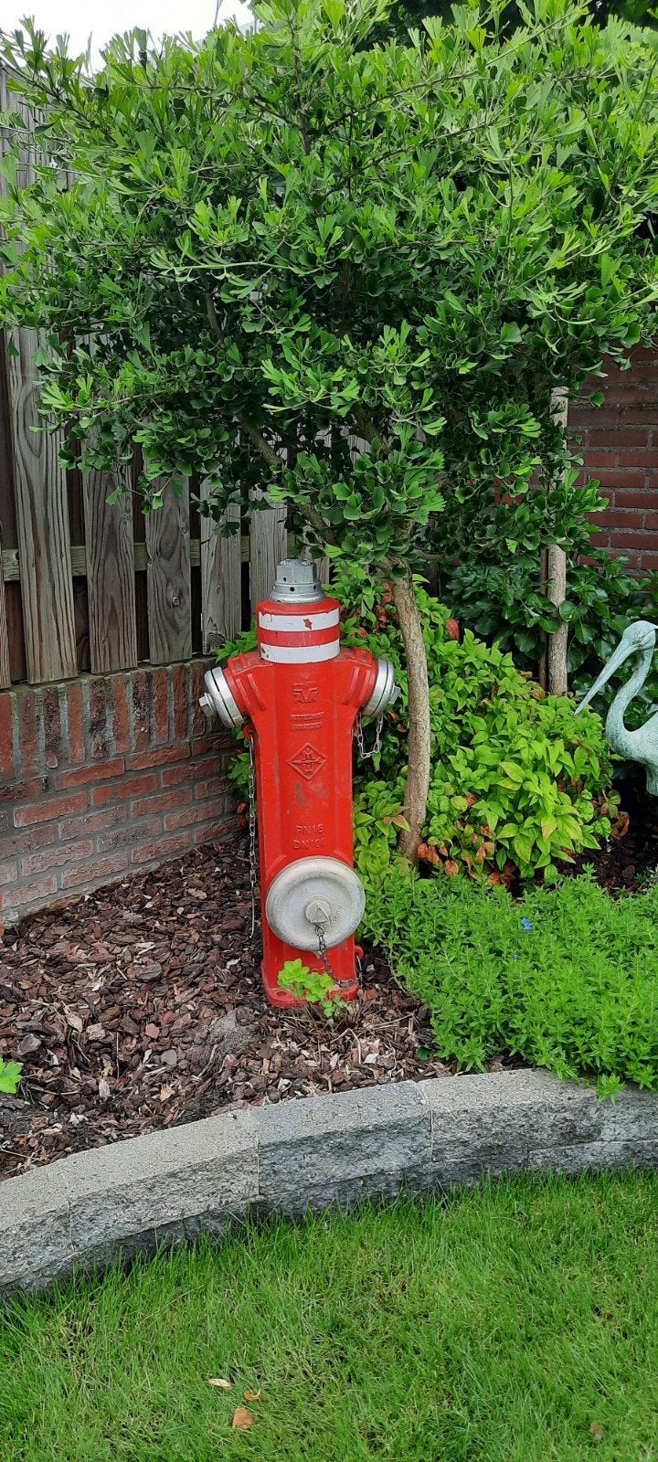 Originele Brandkraan, Ophalen