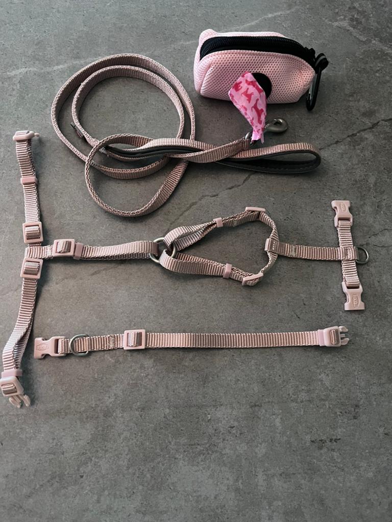 Trixie tuigje/riem set XS-S, Ophalen of Verzenden, Nieuw