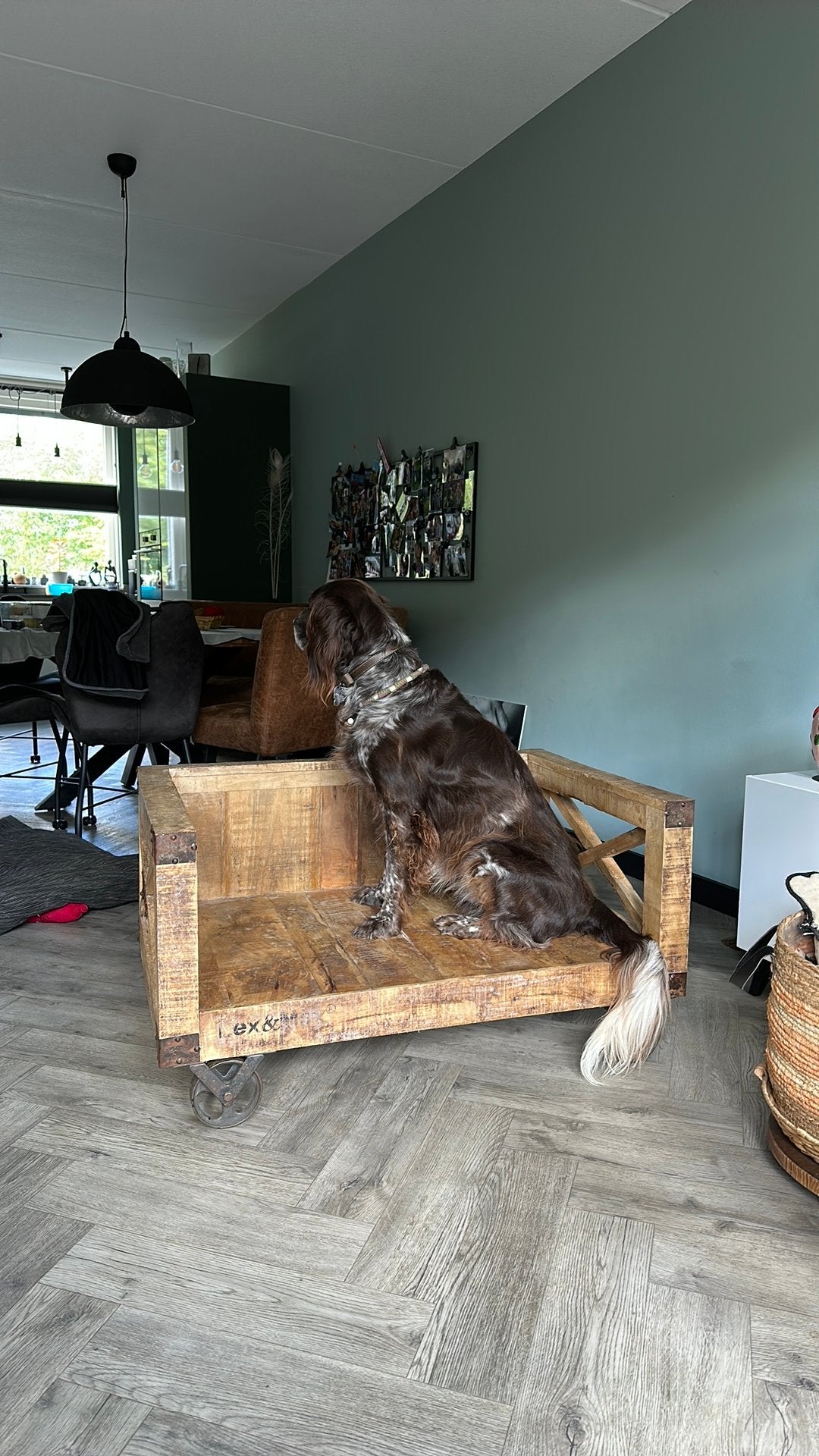 Lex & Max Hondenmand / bank, Ophalen, Gebruikt, Overige
