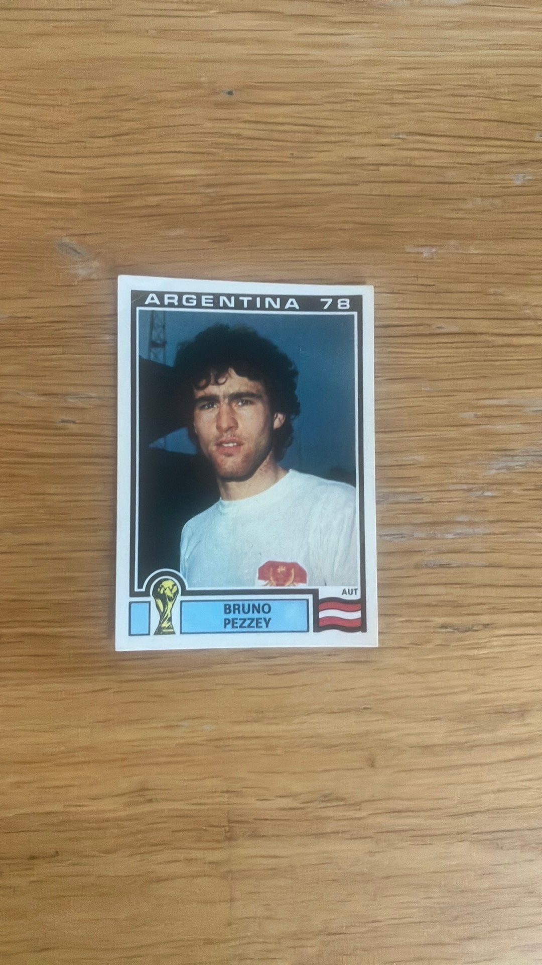 Panini Argentina ‘78, Ophalen of Verzenden, Zo goed als nieuw, Buitenlandse clubs, Poster, Plaatje of Sticker