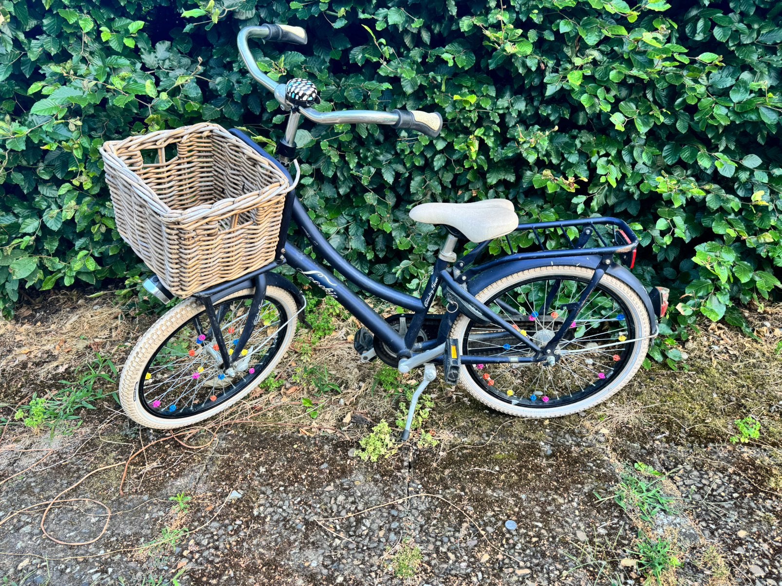 Loekie Country Tour Meisjesfietd 20 inch, Ophalen, Gebruikt, Overige typen
