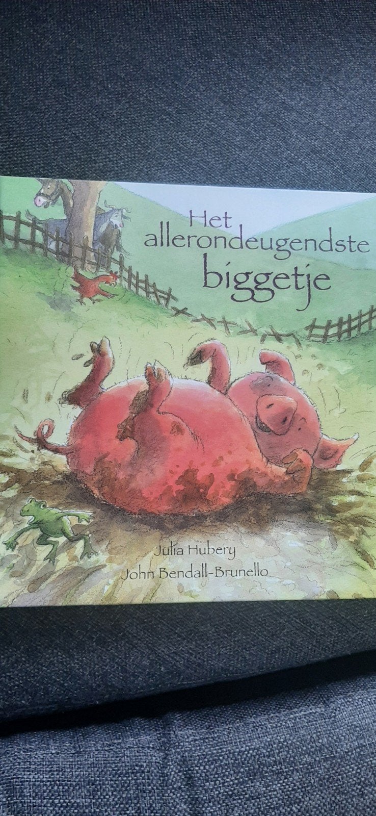 Het allerondeugendste biggetje - Julia Hubery, Ophalen of Verzenden, Zo goed als nieuw, Julia Hubery, Sprookjes