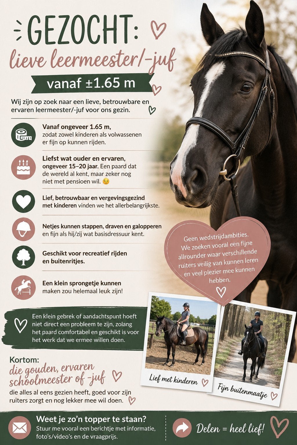 Gezocht lief paard, Dieren en Toebehoren, Ophalen