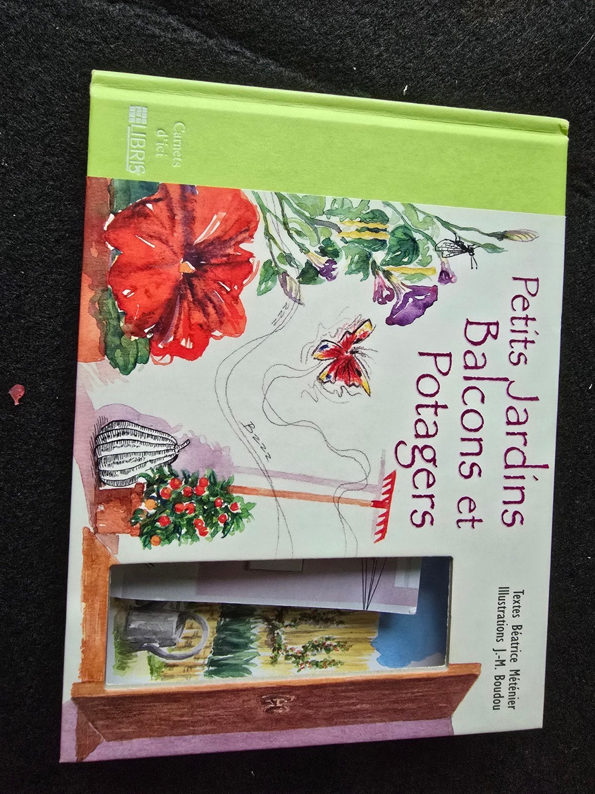 Petits Jardins Balcons et Potagers - Tuinboek, Boeken, Ophalen of Verzenden, Zo goed als nieuw, Béatrice Meunier-Dauriac, Tuinieren en Tuinplanten