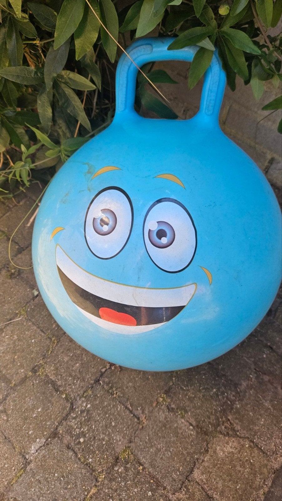 Blauwe skippybal met vrolijk gezicht, Ophalen, Gebruikt, Jongen of Meisje