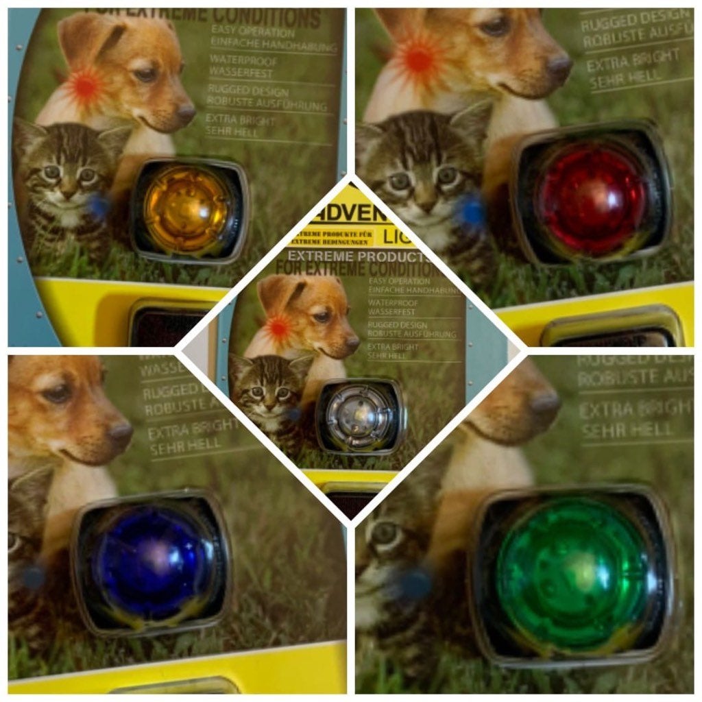 Adventure lights guardian pet beacon, Ophalen of Verzenden, Nieuw