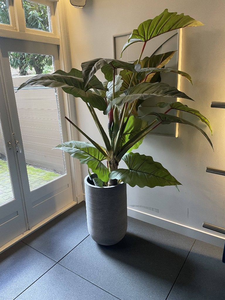 Grote Nep planten Zonder Pot, Ophalen, Binnen, Groen, Kunstplant