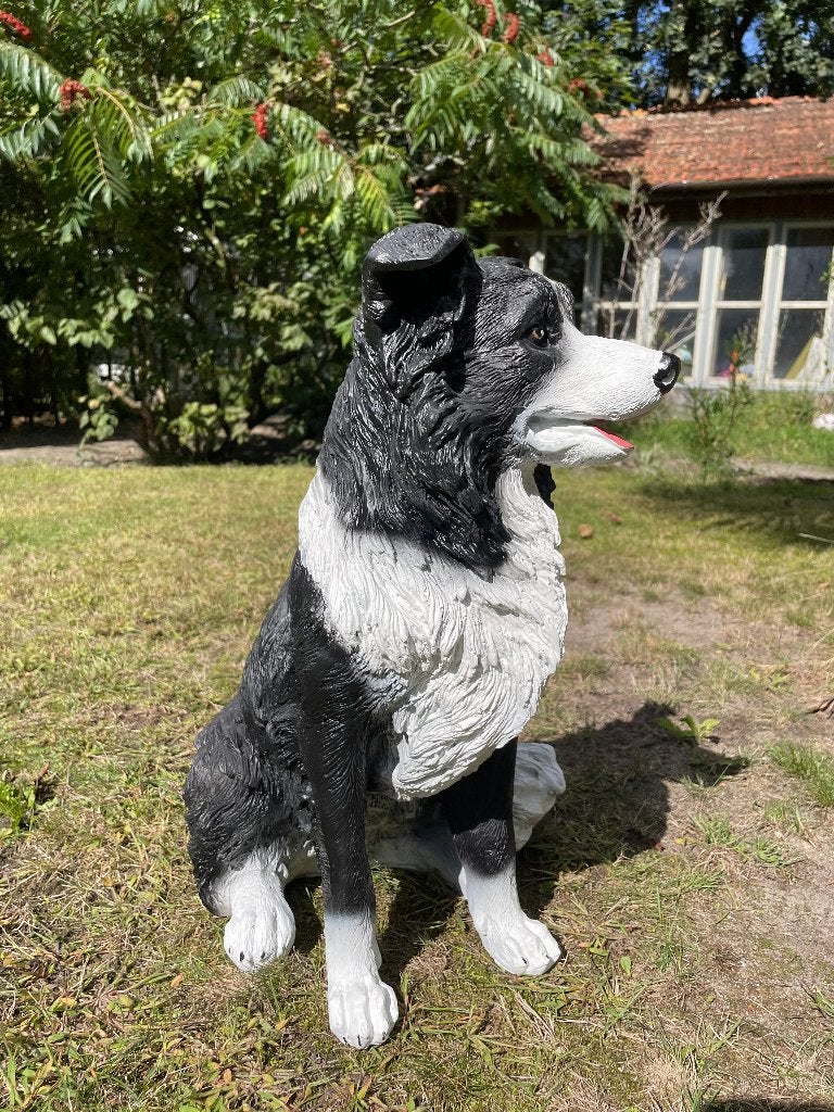(Tuin)beeld Bordercollie, hond, tuin, kennel 50cm, Ophalen, Nieuw, Kunststof, Dierenbeeld
