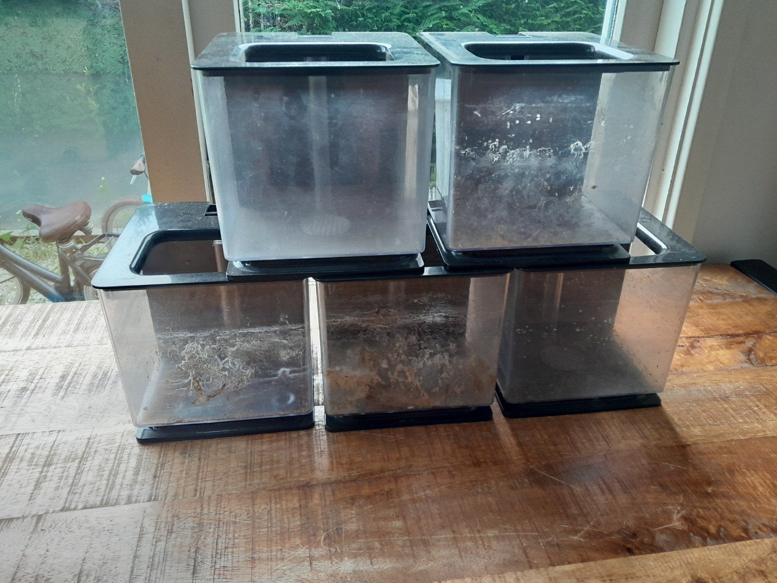 5 x betta bakjes, Ophalen of Verzenden, Zo goed als nieuw