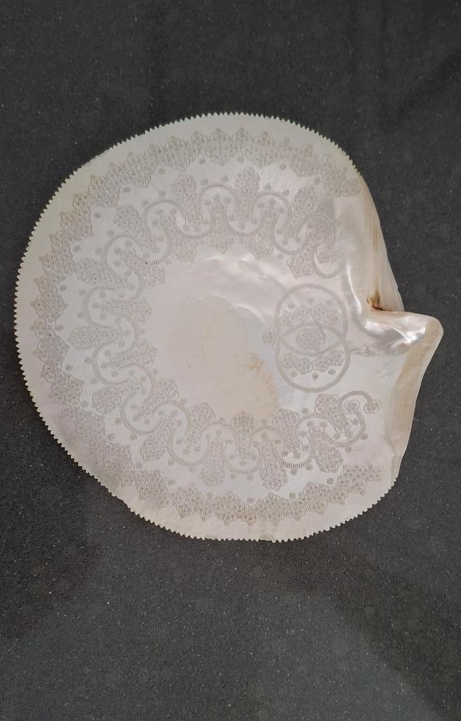 Schelp uit Rode Zee met handwerkgravure (getaxeerd €145,-), Ophalen, Schelp(en)