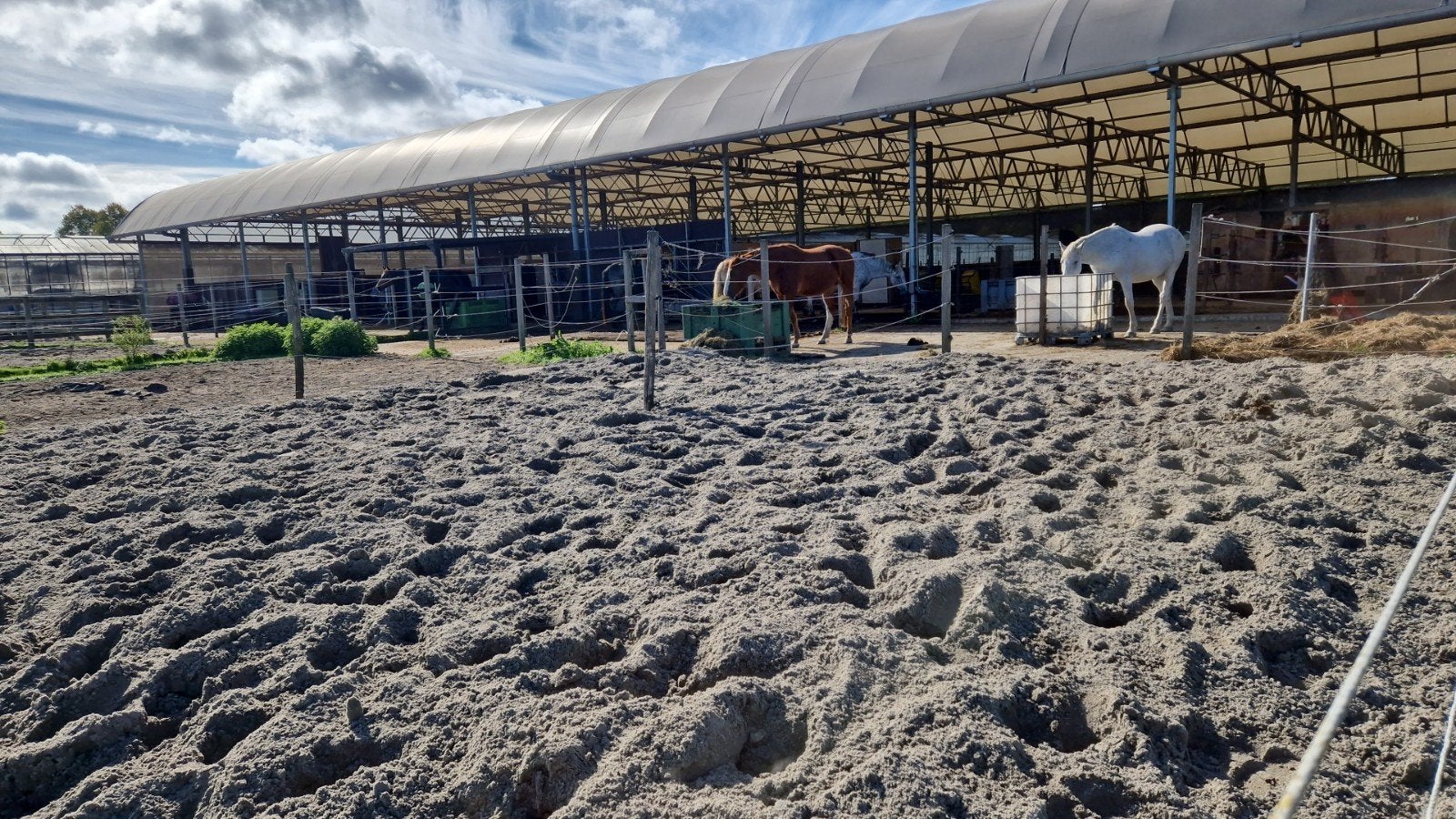 Pensionstalling beschikbaar voor 1 ruin - Almere, Stalling, 1 paard of pony