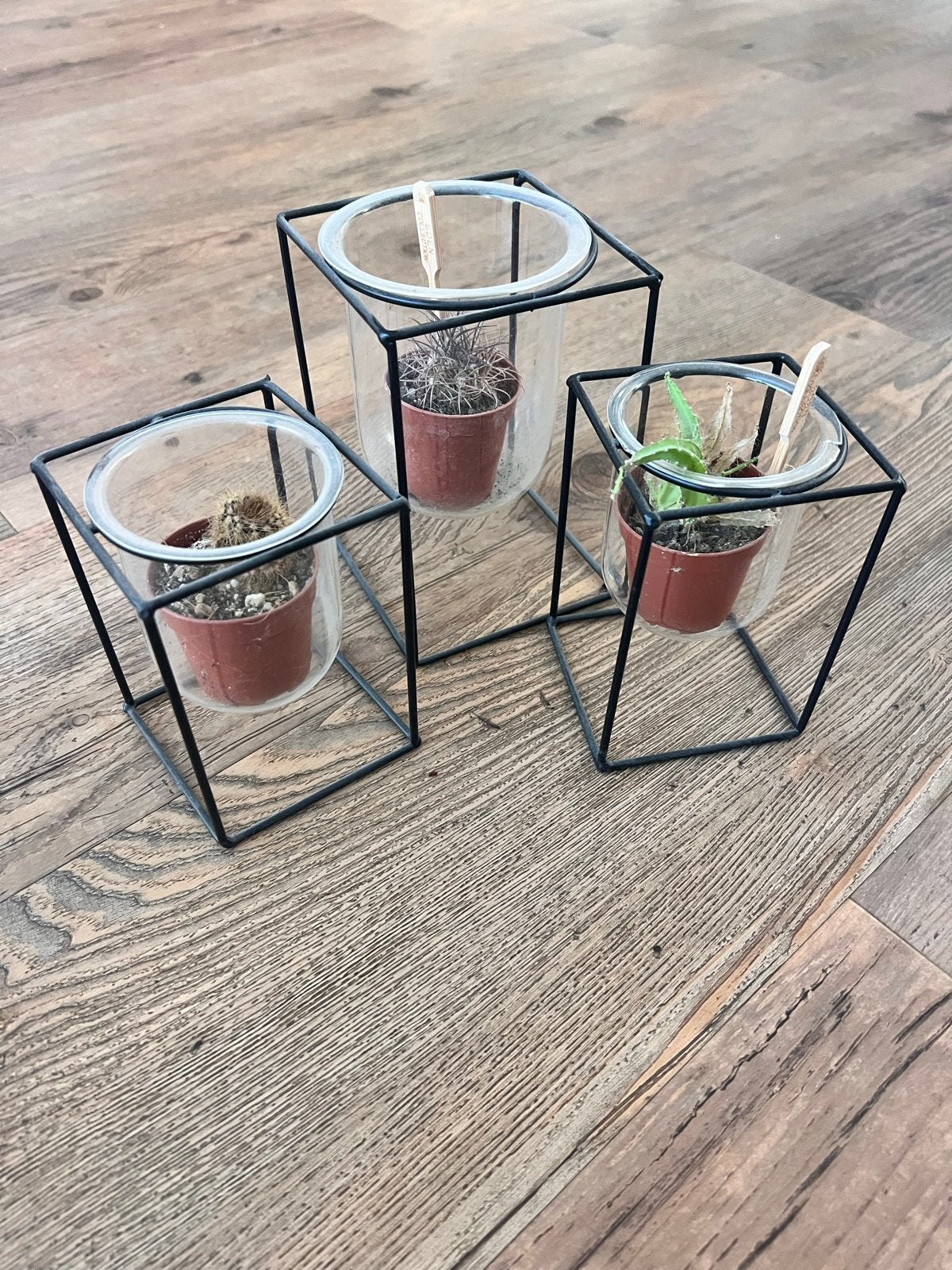 Set van 3 metalen plantenstandaards met glazen potjes, Gebruikt, Minder dan 30 cm, Minder dan 60 cm, Vierkant