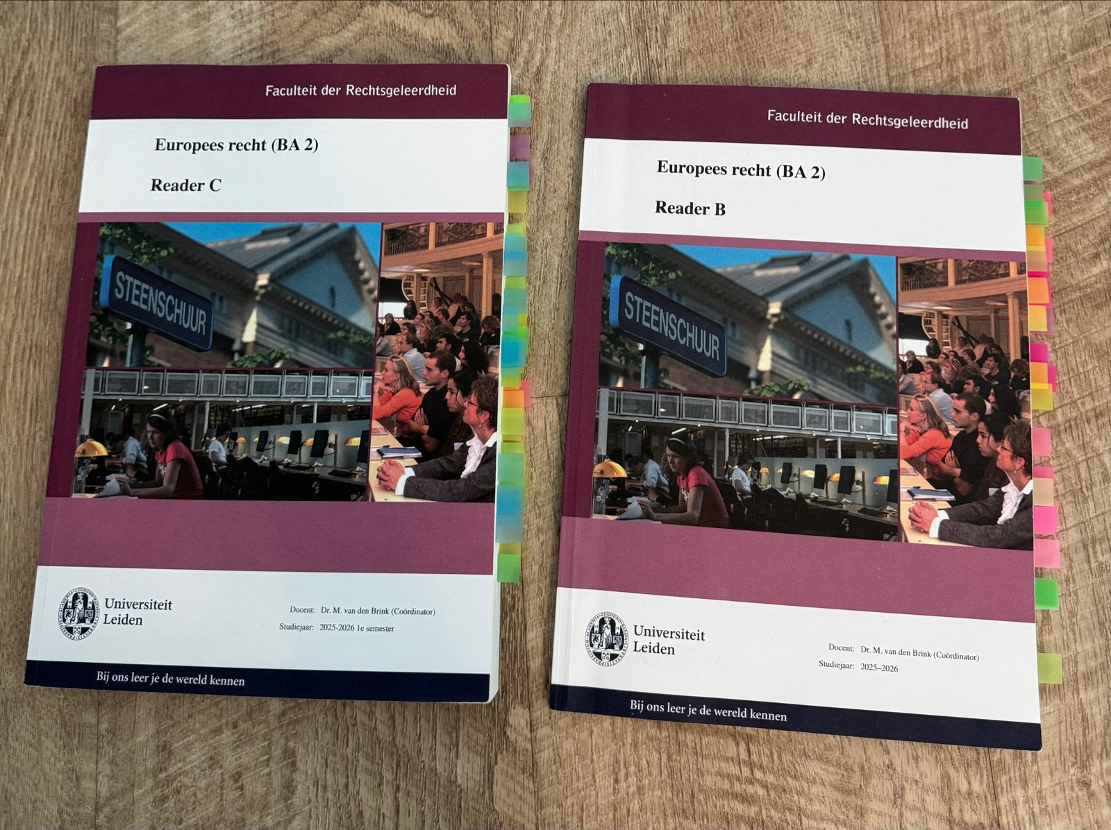 Readers B en C Europees Recht (BA 2) Universiteit Leiden, Ophalen of Verzenden, Gamma, Gelezen, WO
