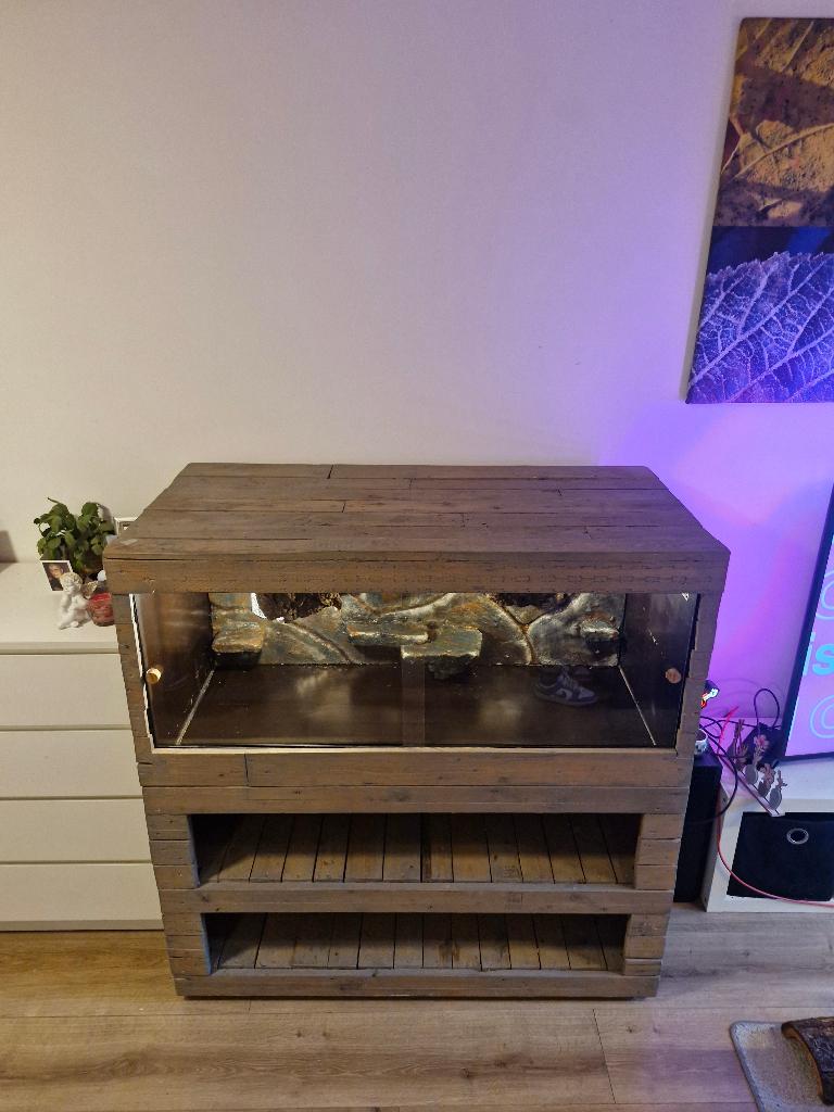 XXL custom Terrarium / Vivarium, Dieren en Toebehoren, Reptielen en Amfibieën | Toebehoren, Ophalen, Gebruikt, Terrarium of Paludarium