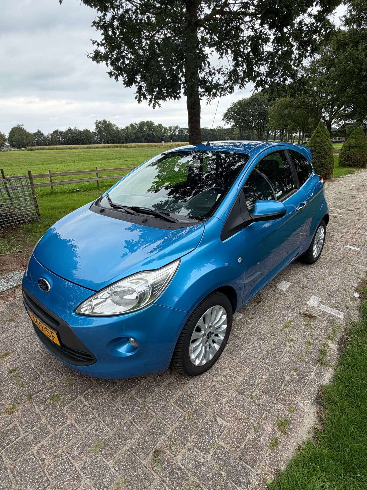 Ford Ka 1.2 51KW 2010 Blauw 110.000 KM stand, Voorwielaandrijving, 1242 cc, 4 cilinders, Handgeschakeld