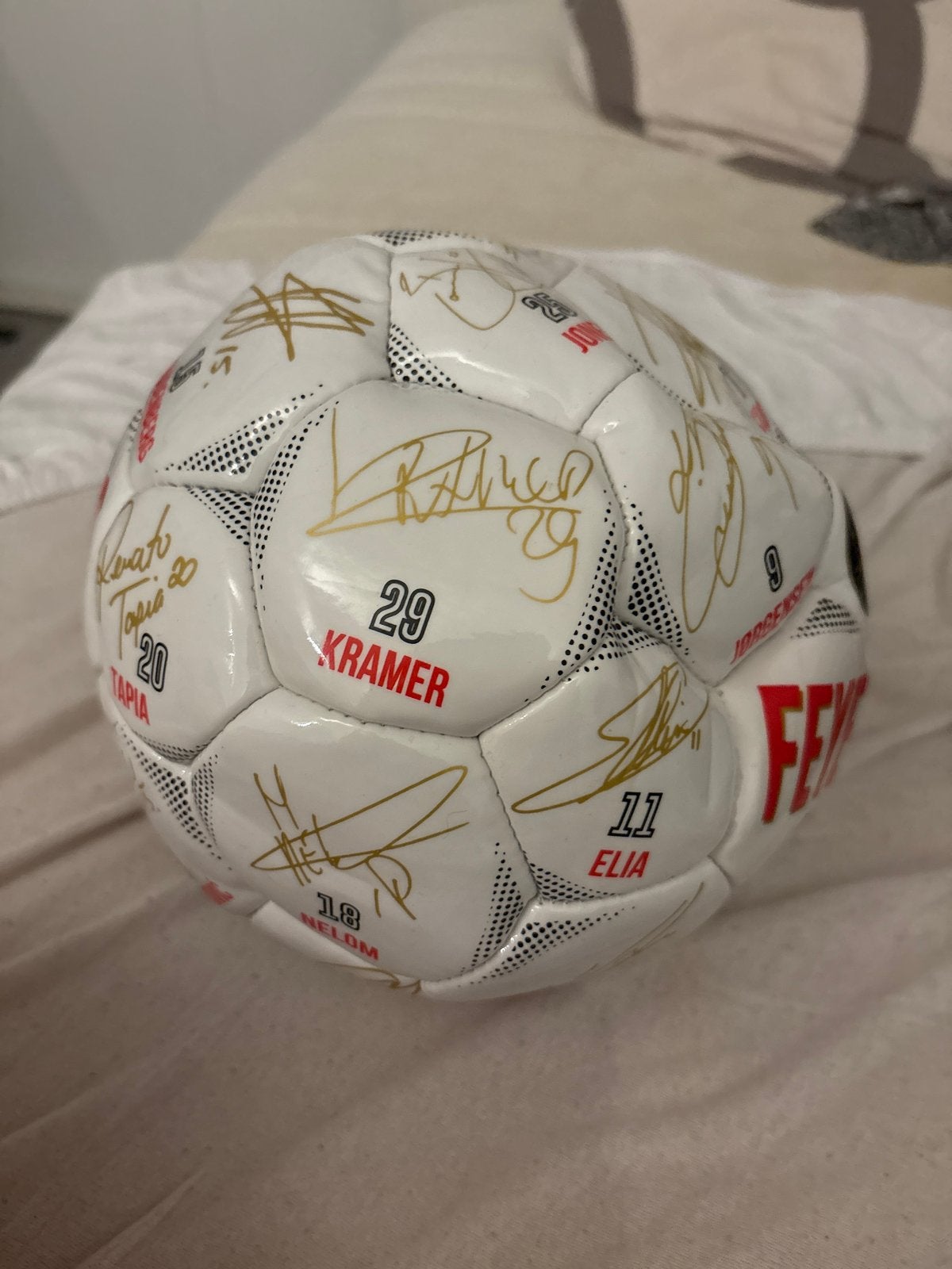 Feyenoord Kampioensbal 2016/2017 - Gesigneerd, Ophalen of Verzenden, Zo goed als nieuw, Bal