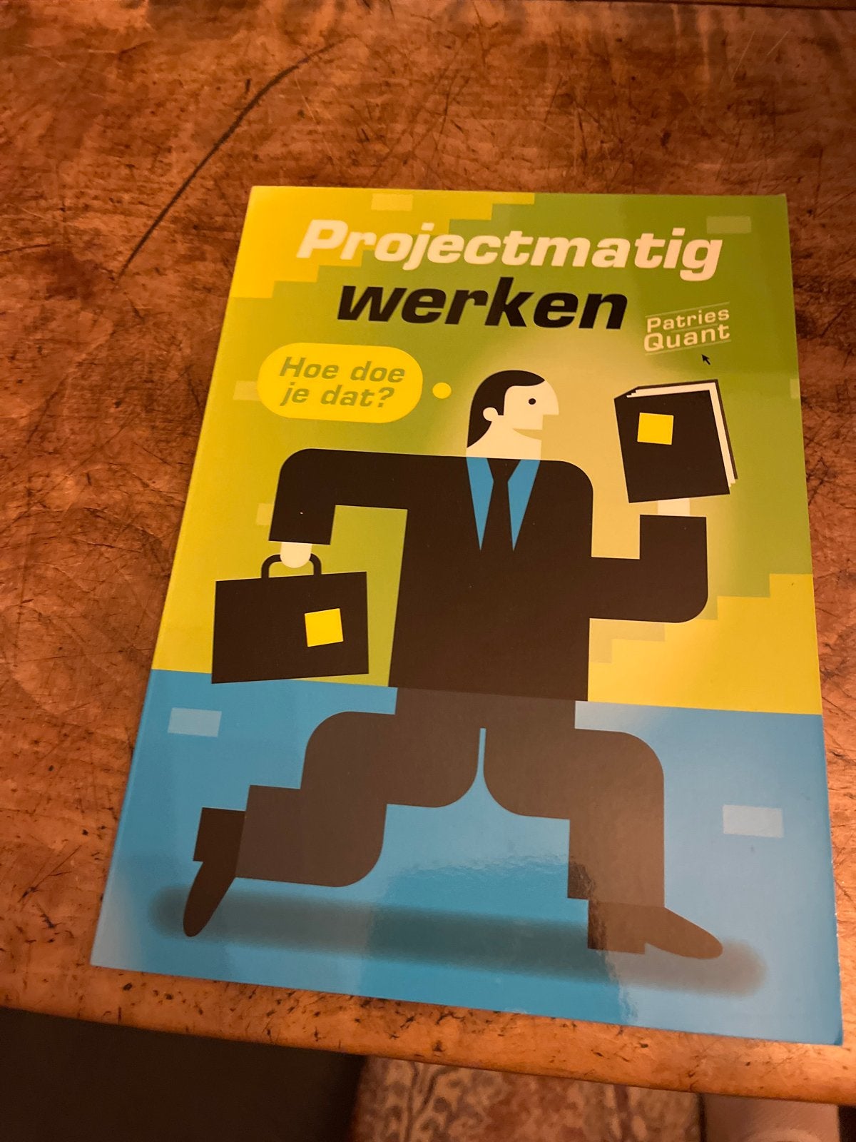 Projectmatig werken - Hoe doe je dat? Patries Quant, Boeken, Ophalen of Verzenden, Zo goed als nieuw, MBO
