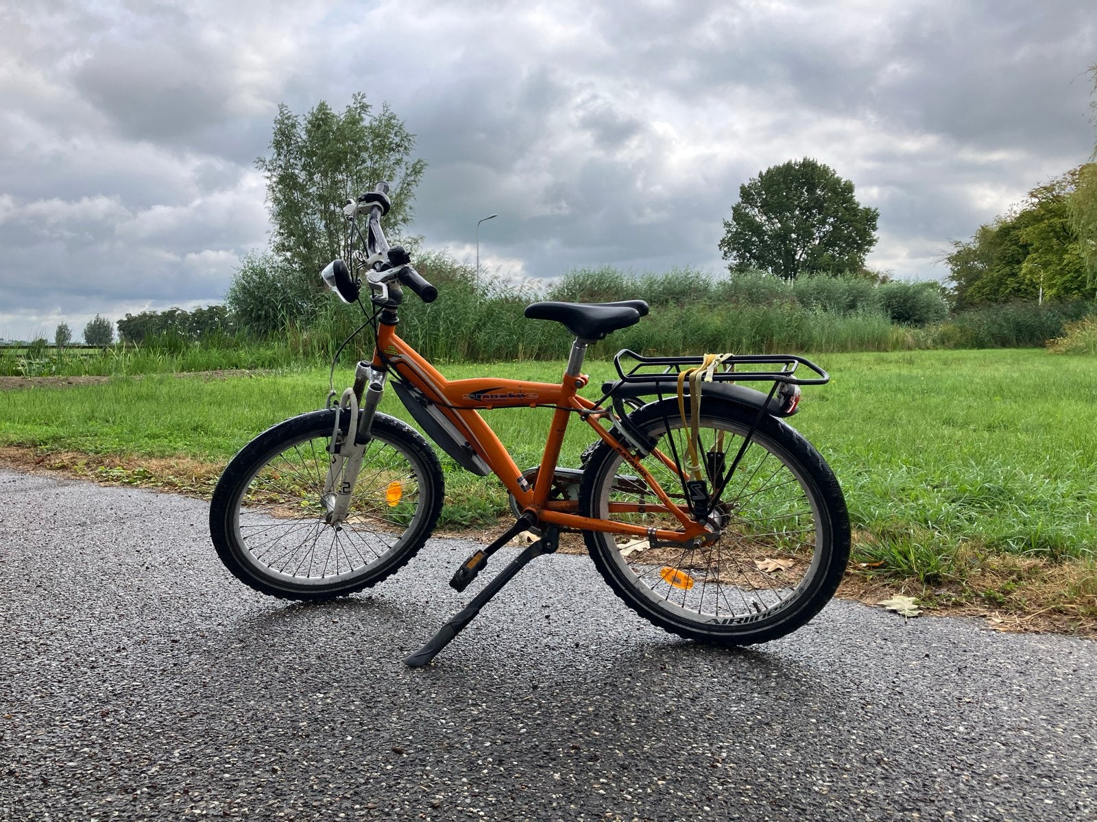 Batavus Snake kinderfiets 22 inch, Ophalen, Gebruikt, Velgrem, 20 inch of meer