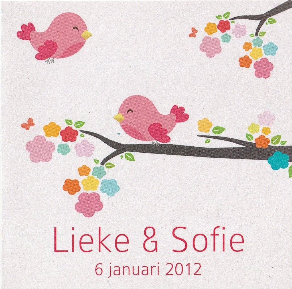 Lieke & Sofie, Ophalen of Verzenden, 2000 tot heden, Geboortekaartje