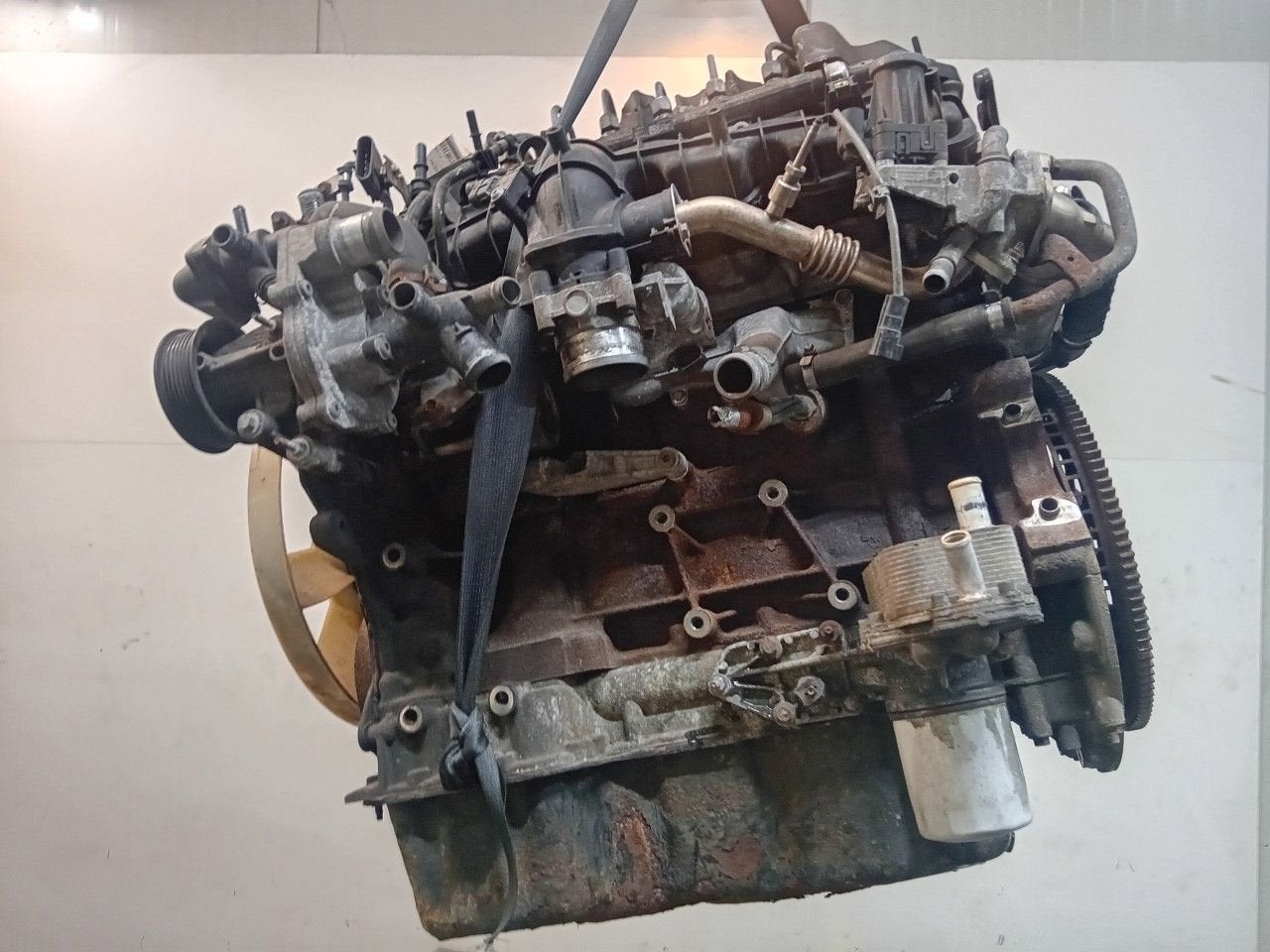 Motor Ford Transit, Auto-onderdelen, Onderdelen@venauto.nl, Van der Ven Autorecycling B.V., Gebruikt, Ettenseweg 76, 4706 PB Roosendaal, The Netherlands