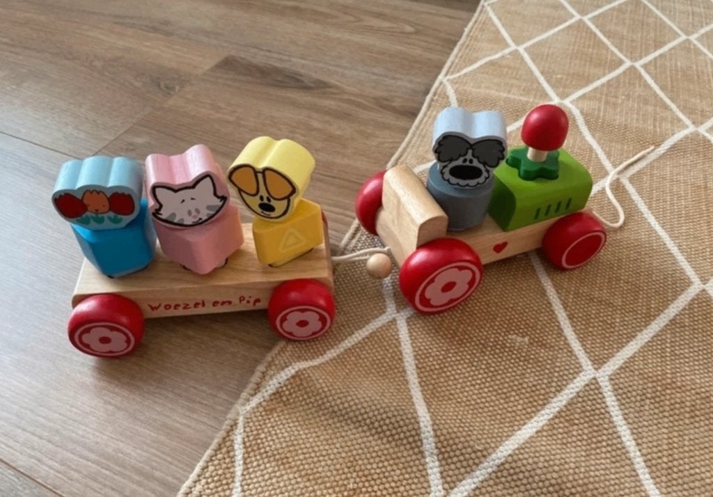 Woezel en Pip houten trein - compleet en in goede staat, Ophalen, Zo goed als nieuw, Duw- of Trekspeelgoed