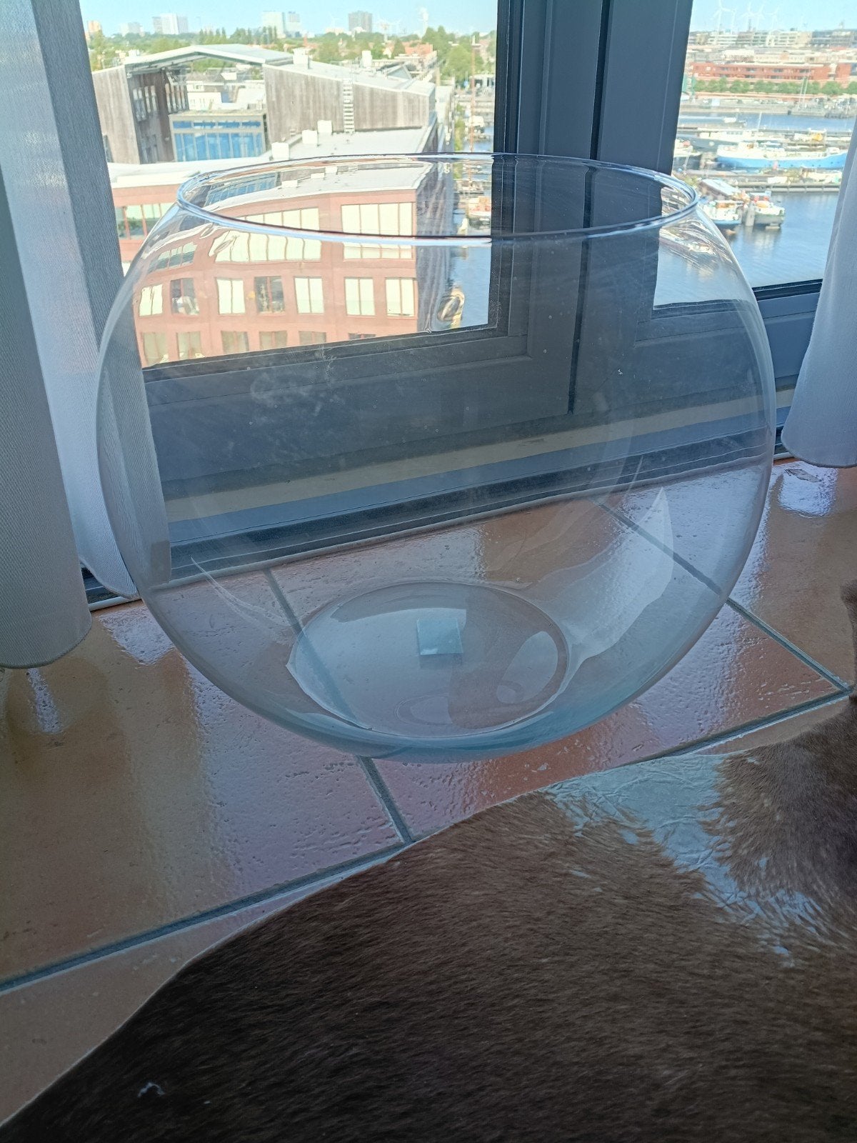 Grote glazen vissenkom (Ø 40 cm) + toebeh., Ophalen, Leeg aquarium