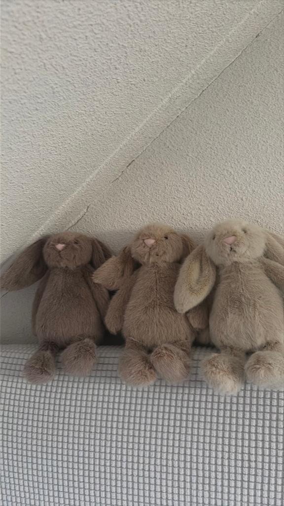jellycats, Ophalen of Verzenden, Zo goed als nieuw, Stoffen beer, Overige merken