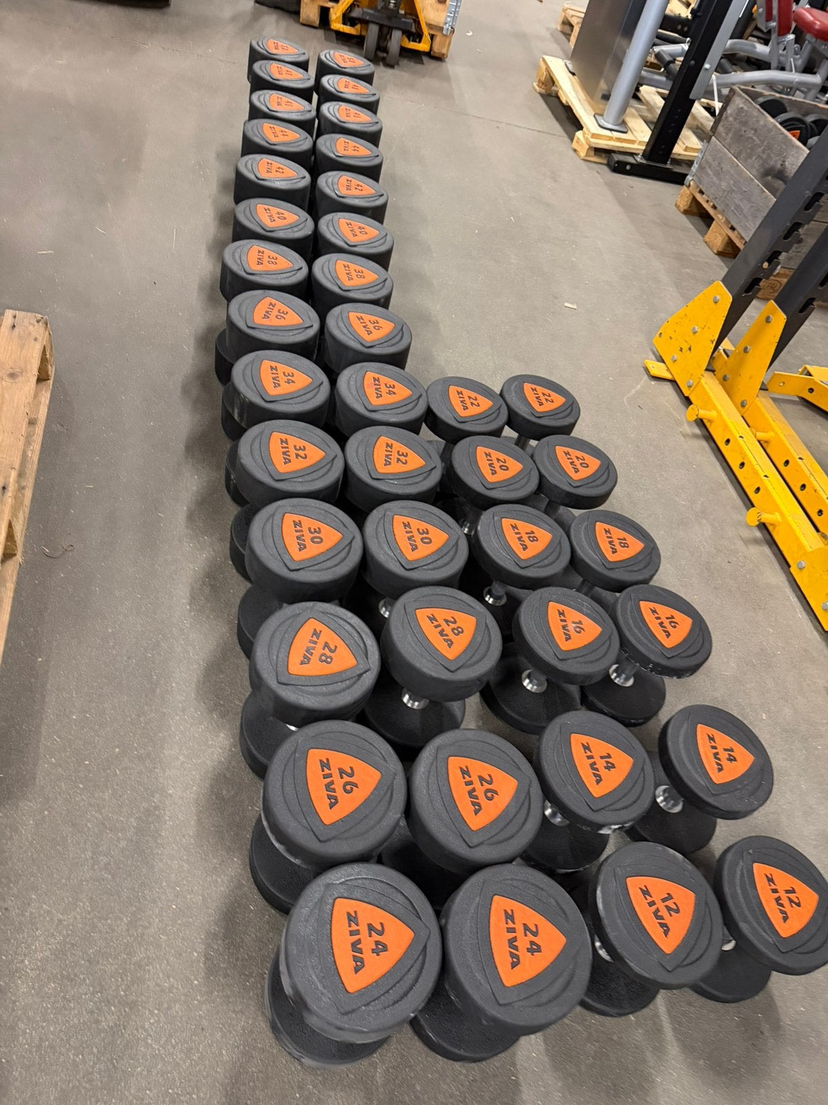 Rubberen Ziva Pu Dumbells 12kg t/m 50kg, Sport en Fitness, Ophalen, Zo goed als nieuw, Dumbbell