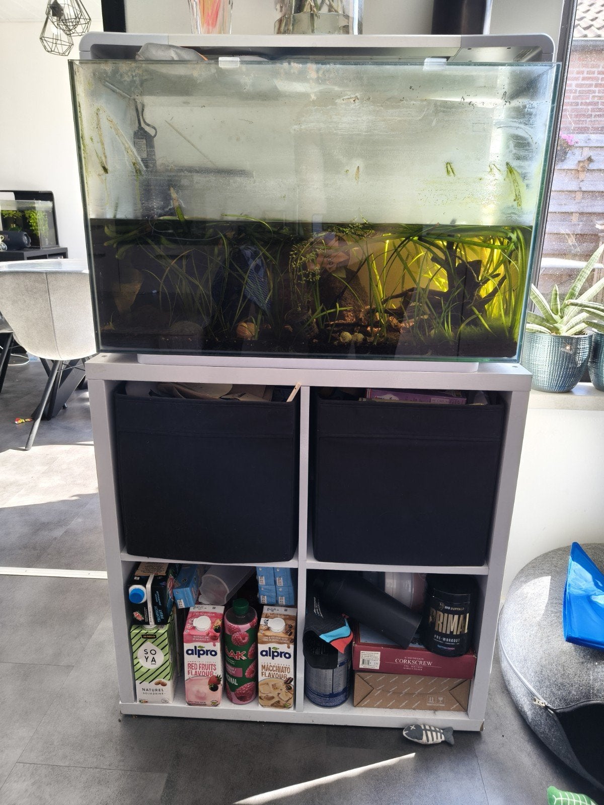 Aquarium SuperFish home 110, Ophalen, Inclusief planten, Zo goed als nieuw, Leeg aquarium