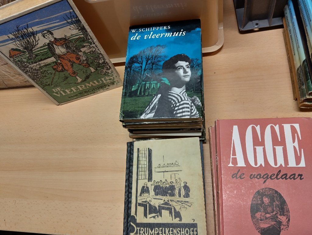 Oude uitgaven W. Schippers, serie-compl muv dl 2,18,26,37,41, Boeken, Ophalen of Verzenden, Gelezen, W. Schippers