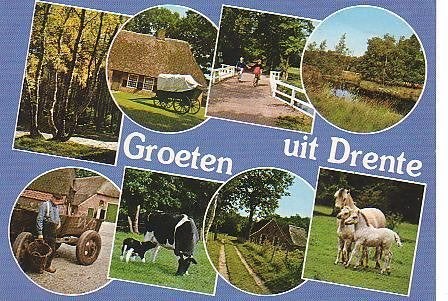 Ansichtkaart 	Drenthe	8-luik	Paarden, Verzenden, 1980 tot heden, Gelopen, Drenthe