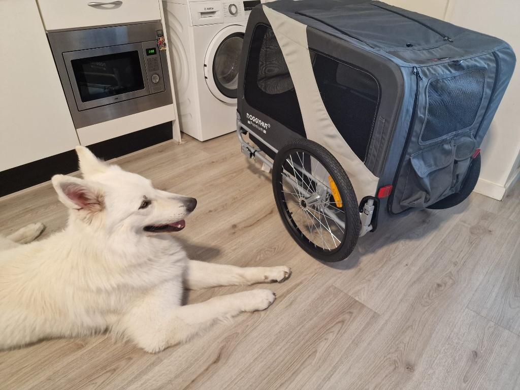 Premium XL hondenfietskar tot 45 kg, Fietsen en Brommers, Fietsaccessoires | Aanhangers en Karren, Ophalen, Opvouwbaar, Nieuw