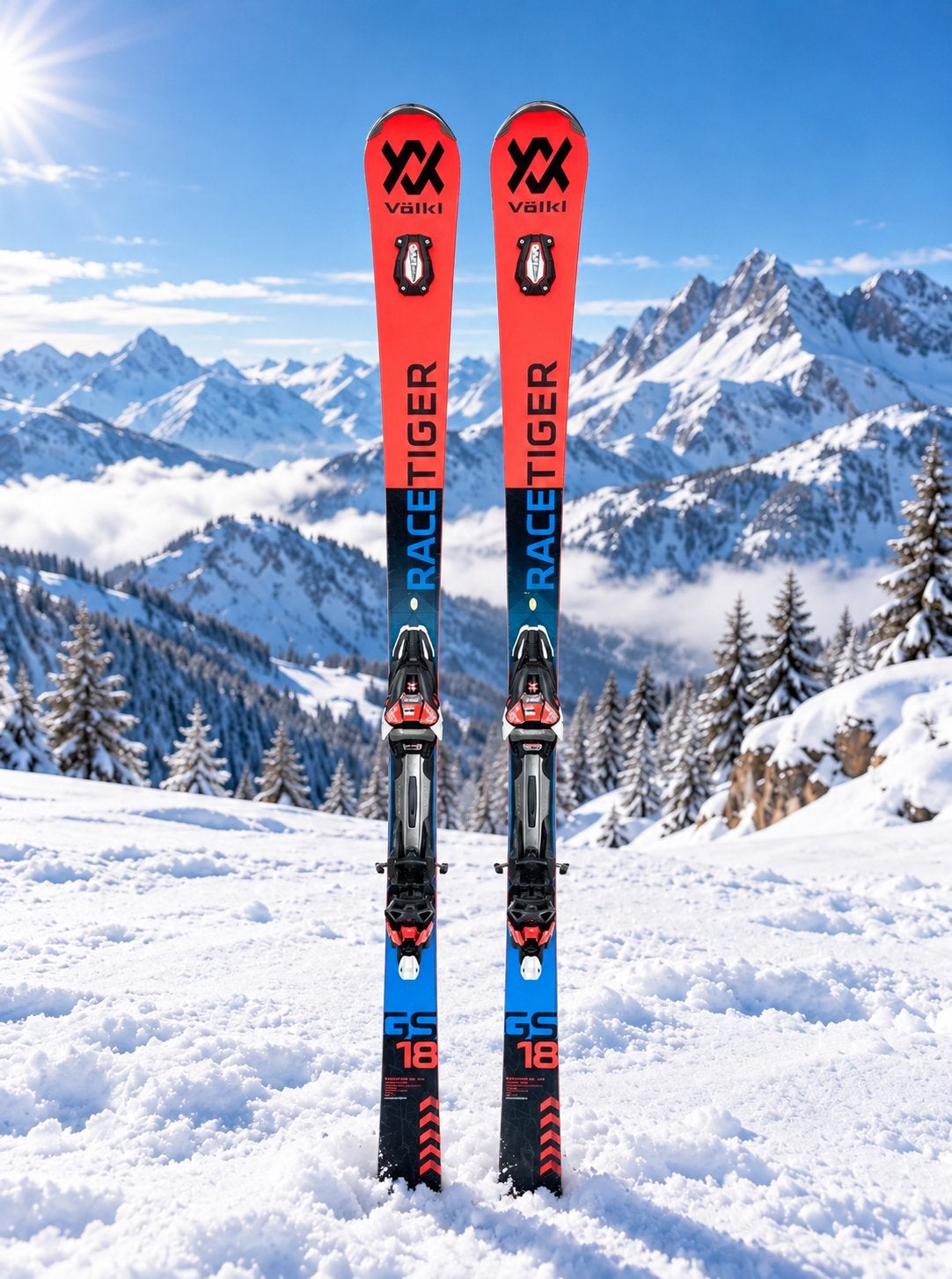 Völkl Racetiger GS 175 Ski's, Overige merken, 160 tot 180 cm, Gebruikt, Ophalen of Verzenden